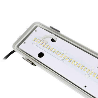 1eada06800829e020d839a111f2518f9
