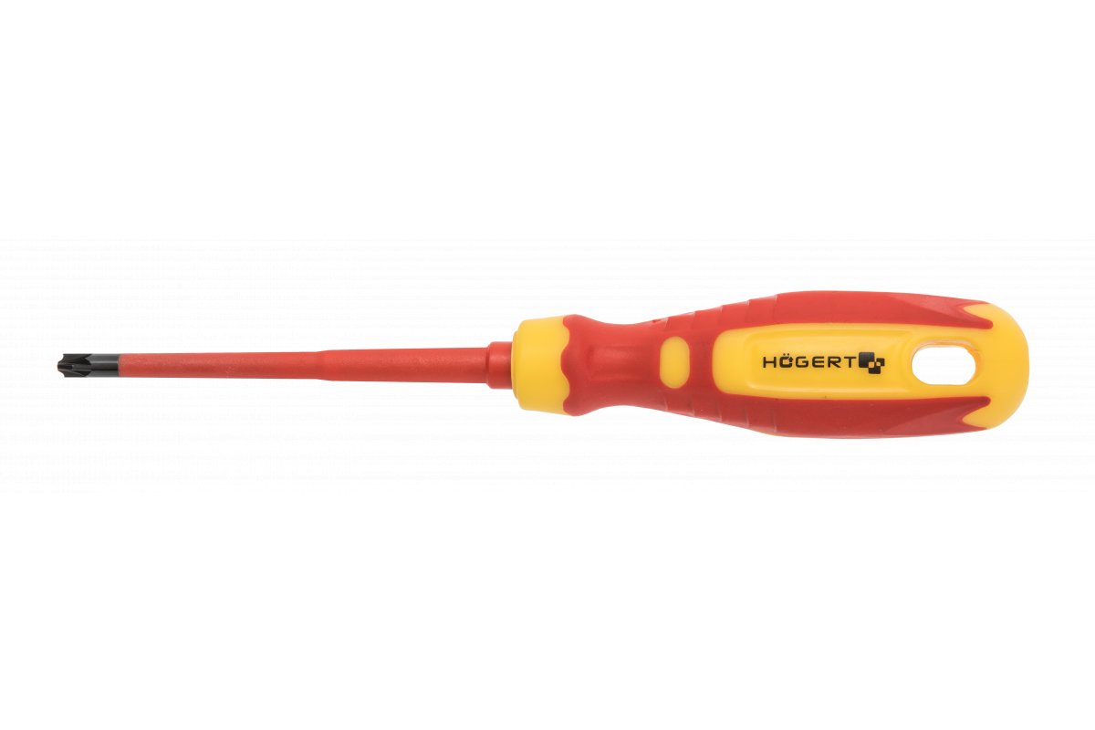 Högert Technik Schraubendreher für Plus-Minus Klemmschrauben, PH1/SL5 100 mm, 1000 V, CrMo Stahl VDE