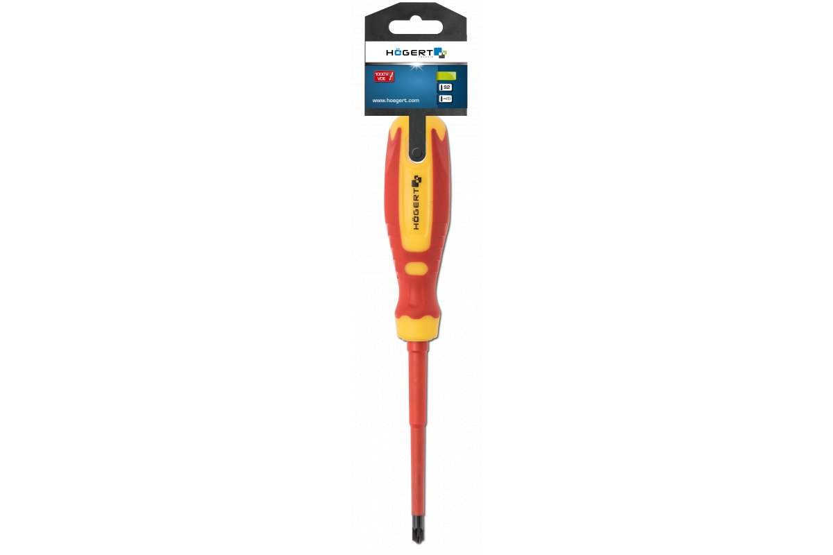 Högert Technik Schraubendreher für Plus-Minus Klemmschrauben, PZ2/SL6 100 mm, 1000 V, CrMo Stahl VDE