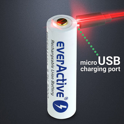 everActive 18650 3.7V Li-ion 3200mAh micro USB Batterie mit BOX und Ladekabel